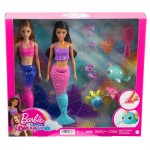 Barbie Ocean Adventure  Dolls And Accessories